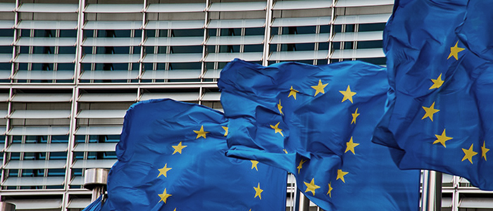 EUROPA – Dal Parlamento Ue sì a un Regolamento UE sulle indicazioni geografiche no food